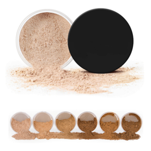 Wholesale translucent matte finishing powder OEM 6 color makeup loose powder