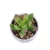 Import YXDR 82 Diy Desk Indoor Decor Mini Artificial Bonsai Plant Faux Small Green Succulent from China