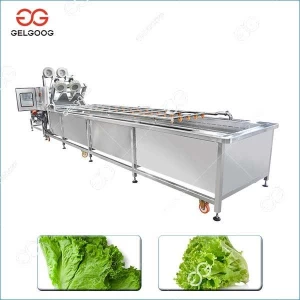 Leafy Vegetable Washing, Drying Processing Line