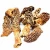 Import Premium Dried Morel Gucchi Mushrooms - Small Size for Intense Flavor and Health Benefits from India