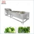 Import Leafy Vegetable Washing, Drying Processing Line from China