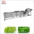 Import Leafy Vegetable Washing, Drying Processing Line from China