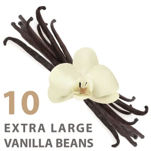 Extra Large Vanilla Beans (Grade A1 Gourmet) | 8″ Inch Length Whole Vanilla Planifolia | Cooking, Baking, & Extraction | Ceylon’s Finest Vanillin