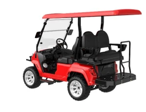Front-6 seater Electric Golf Cart