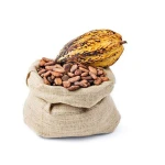 High Quality Organic Peruvian Criollo Roasted Sun-Dried Cocoa Beans with Fruity Flavour Premium