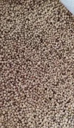 White Pepper from Indonesia
