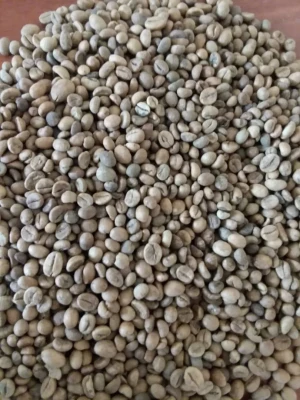 Robusta Coffee Beans