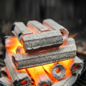 Abusato Coconut Charcoal Briquettes