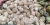 Import Semi husked coconut from Sri Lanka