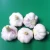 Import 2019 fresh garlic,white garlic from United Kingdom