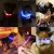 Import Rechargerable Flashing dog coller, Reflective Pet LED Collar , Dog reflective LED collar from China