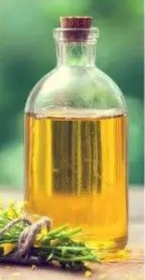 Premium Quality Refined Rapeseed Oil in Best Rates