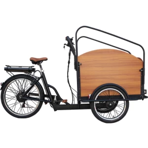 Electric Adult Cargo Tricycle