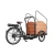 Import Electric Adult Cargo Tricycle from China