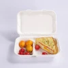 9 inch biodegradable clamshell food fast food sugarcane bagasse containers﻿