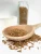 Import Cumin Seeds from India