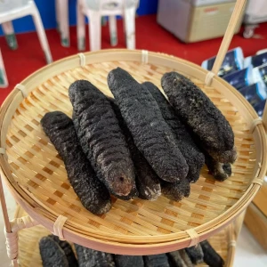 Naturally Harvested Dried Sea Cucumber With Rich Nutritional Content For Wholesale Seafood Import