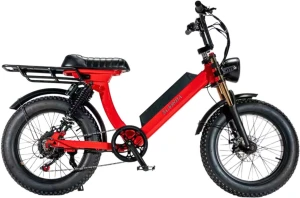2024 Custom 20-inch 750W/1000W 36V/48V mountain bike electric road bike