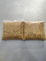 Premium Grade A Soybeans: Nature's Protein Powerhouse