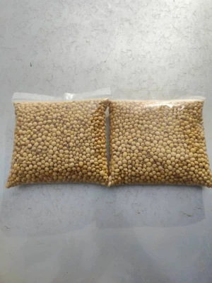 Premium Grade A Soybeans: Nature's Protein Powerhouse