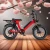 Import 2024 Custom 20-inch 750W/1000W 36V/48V mountain bike electric road bike from China