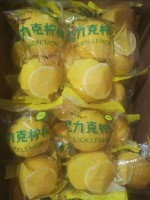 Fresh Lemons Plastic Twins Bag