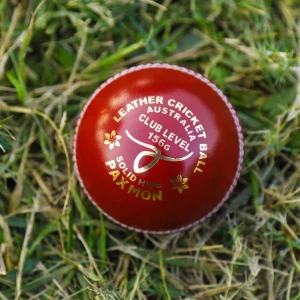 Premium Leather Cricket Ball   || Customizable with your Brand Identity