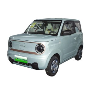 Geely Panda Mini 2023 Mini Small Electric Car for Adults
