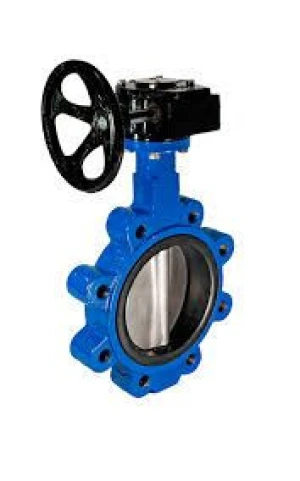 Flanged Expansion Butterfly Valves