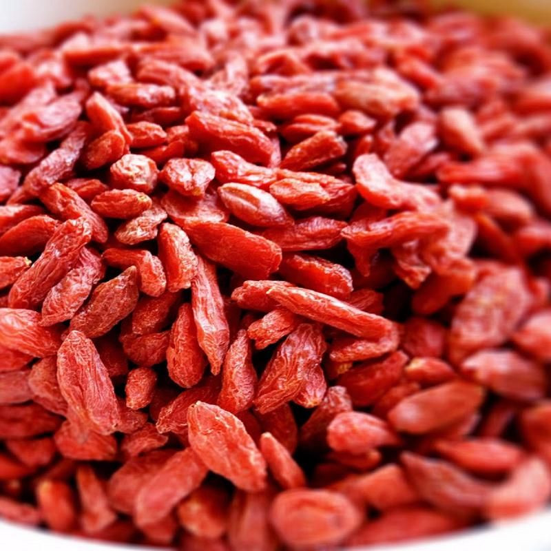 Buy Premium Goji Berries – Organic, Nutrient-rich Superfood from AGRO ...