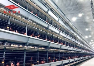 Layer Battery Cage Price in Nigeria