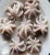 Import Frozen Baby Octopus from Belgium