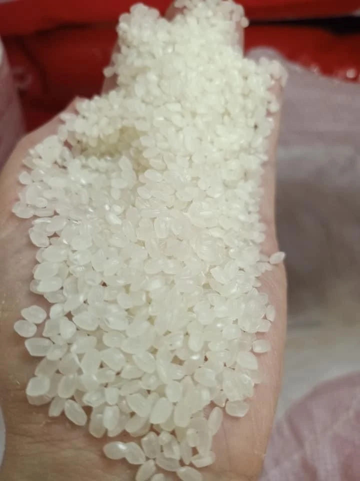 Buy Rice from GN FOOD CORP, Vietnam | Tradewheel.com