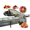 Industrial Fruit Dryer Equipment Heat Pump Fruit Dehydrator Jujube Passion Fruit Dragon Fruit Palm Kernel Drying Machine