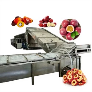 Industrial Fruit Dryer Equipment Heat Pump Fruit Dehydrator Jujube Passion Fruit Dragon Fruit Palm Kernel Drying Machine