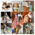 CHURU TREATS FOR CATS AND DOGS