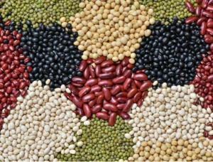 Beans-Non GMO