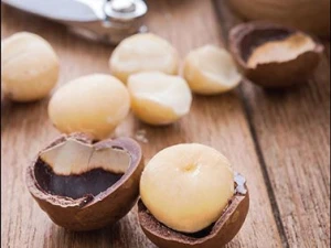 Premium Delicious Full Fruit Macadamia Nuts