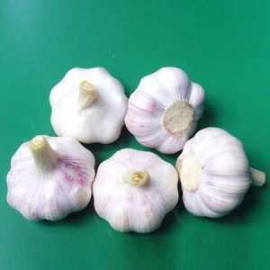 2019 fresh garlic,white garlic