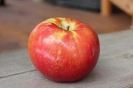 Quercetin