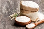 High Quality Wheat for Global Supply & Food Production