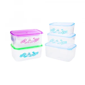 Plastic Containers Set of 3 Lunch Box BPA Free Snap-Lock Lid