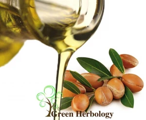 Pure Argan Oil From Morocco in Best Affordable Price