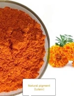 Natural pigment -lutein
