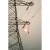 10-300M Mobile Telecommunication Steel Tower