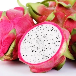 100% organic fresh dragon fruit/ red dragon fruit/dragon fruit price with high quality ( whatsapp: + 84 911 585 628)