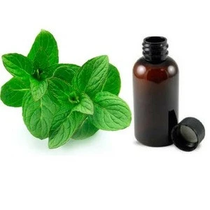 100% pure & natural mentha arvensis peppermint mint mentha essential oil