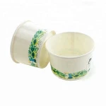 100ml Matte Laminated Single Wall Ice Cream Paper Cup
