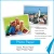 Import 180gsm/200gsm/230gsm/260gsm glossy photo paper A4 from China