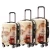 2020 Best Selling ABS Hand Cabin Luggage Travel Bag Colorful Hard Trolley Suitcase